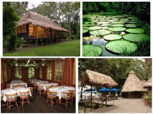 Parque Nacional Natural Amacayacu