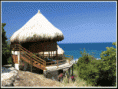 /album/fotovacacionantes/img-1-hotel-aviatur-gif/
